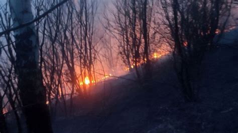 Bruciano Ancora I Boschi Del Vco A Pasquetta Incendio A Gignese