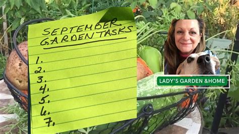 September Garden Tasks 7 Important Garden Jobs In September Zone 7 Youtube