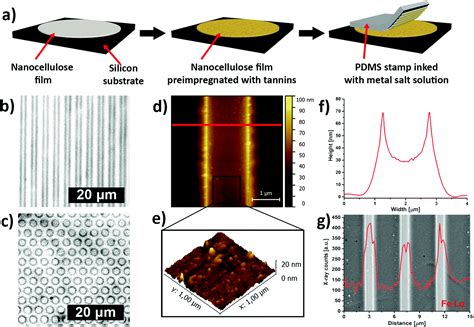 Functionalization And Patterning Of Nanocellulose Films By Surface