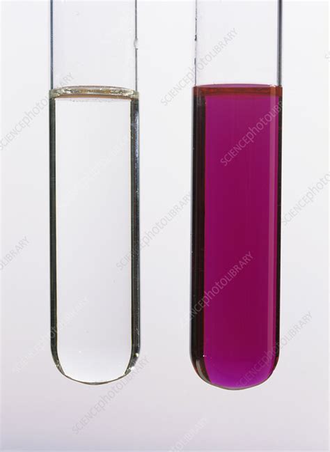 Phenolphthalein Indicator Stock Image A Science Photo Library