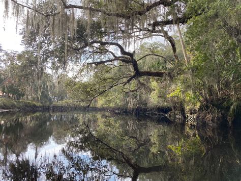 Other Withlacoochee Aquatic Restoration