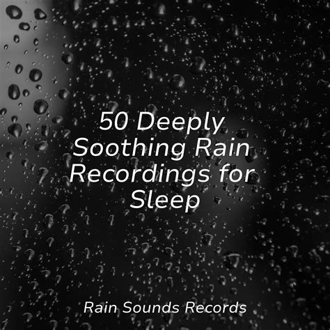 50 Deeply Soothing Rain Recordings For Sleep Sonido Del Bosque Y