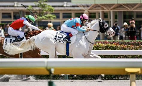 【新馬東京6r】白毛馬アマンテビアンコがデビュー戦を快勝 その他競技 スポーツブル スポブル