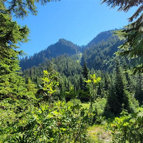 Cypress Provincial Park Britishcolumbia