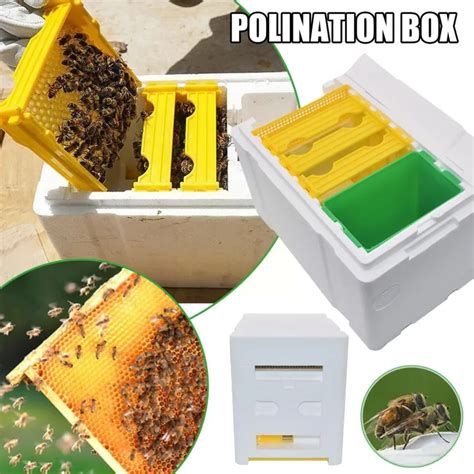 Queen Bee Breeding Box Bee Mating Box Foam Beehive Breeding Beeshive