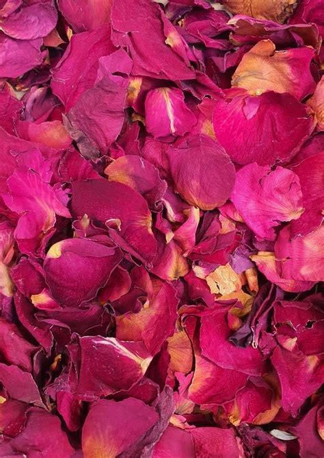 Valentines Day Rose Petal Scatter Dry Rose Petals Red Helenarose