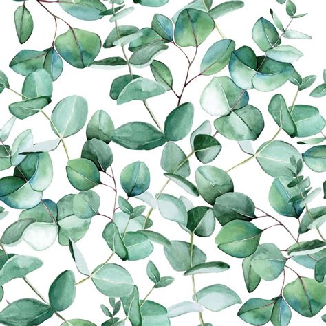 Watercolor Seamless Pattern With Eucalyptus Leaves On A White Background Vintage Print