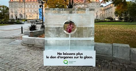 Cette Campagne Pour Le Don D Organes Ne Laisse Pas De Glace