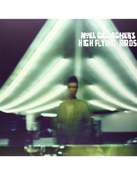 Noel Gallagher S High Flying Birds Self Titled Vinyl Pop Music