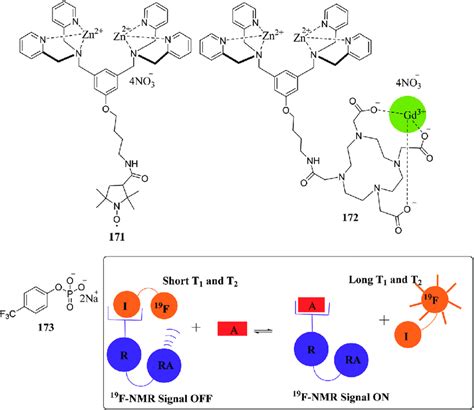 The Structures Of Synthetic Receptors 171 And 172 And A 19 F Labeled Download Scientific