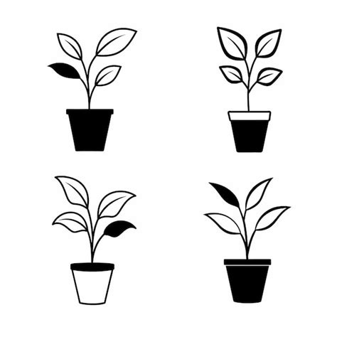 Premium Vector House Plant In A Pot