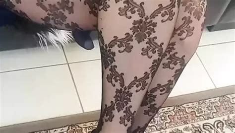 Dani Leg S Sexy Legs In Black Pantyhose Nude Pics Xhamster