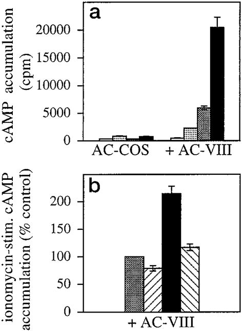 Acute-opioid receptor activation inhibits, and chronic activation... | Download Scientific Diagram