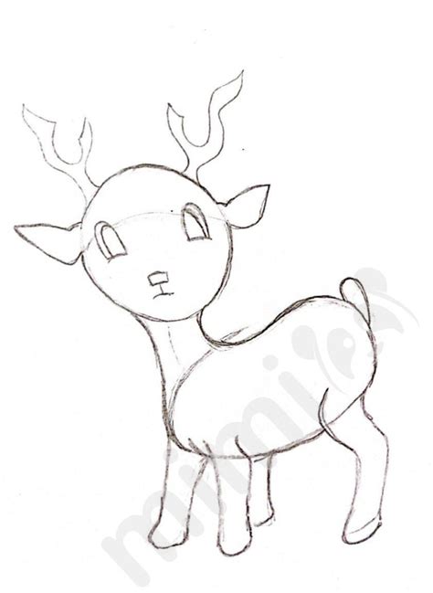 Deer Drawing: Step-by-Step Tutorial | Mimi Panda