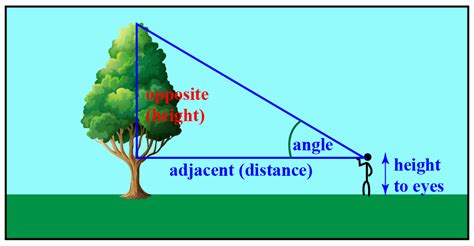 Heights And Distances Solved Examples Trigonometry Cuemath