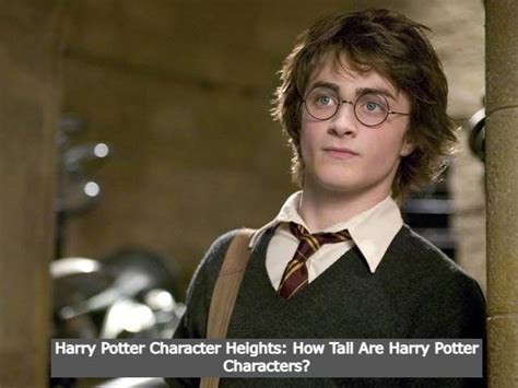 Harry Potter Character Heights: How Tall Are Harry Potter Characters ...