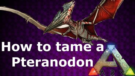 How To Tame A Pteranodon Ark Survival Evolved On The Ps4 Youtube