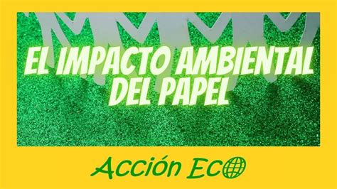 El Impacto Ambiental Del Papel YouTube