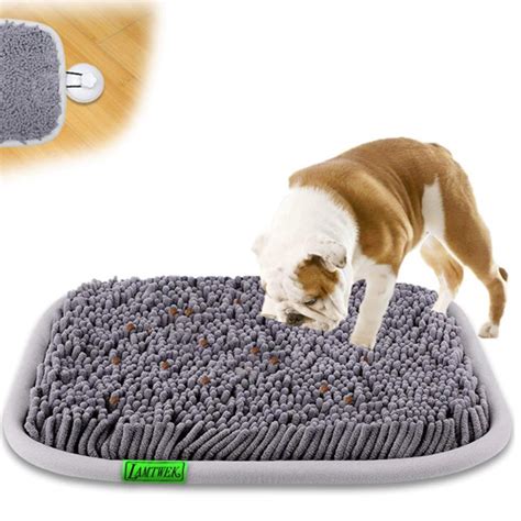 Tapis De Fouille Pour Chien Comment Le Choisir Les Animaux Du Futur