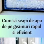 Condens Pe Ferestre Cum S Scapi De Apa De Pe Geamuri Rapid Si Eficient