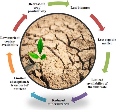 Consequences Of Drought Stress On Various Aspects Of Crop Production