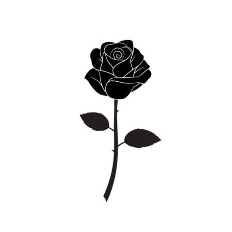 37100 Black Rose Stock Illustrations Royalty Free Vector Graphics