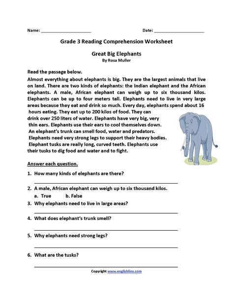 Fiction And Nonfiction Worksheet For Grade 3