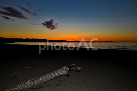 夕暮れの海の流木 No 24676038｜写真素材なら「写真ac」無料（フリー）ダウンロードok