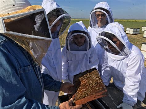 EDMUNDS CENTRAL STUDENTS LEARN ABOUT POLLINATION IN CALIFORNIA – Adee