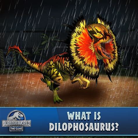 Image Dilophosaurus Venenifer 259 Jurassic Park Wiki Fandom Powered By Wikia