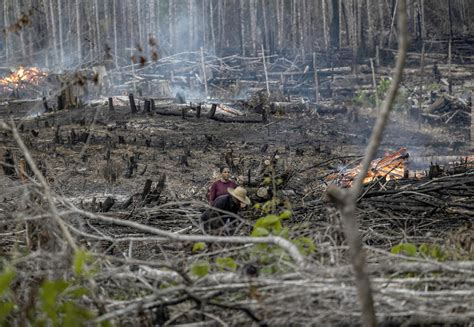 La Deforestaci N En La Amazon A Brasile A Alcanza Un Nuevo R Cord En