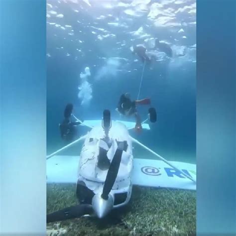 Divers Resurface Crashed Plane Off Cozumel Coast Riviera Maya News