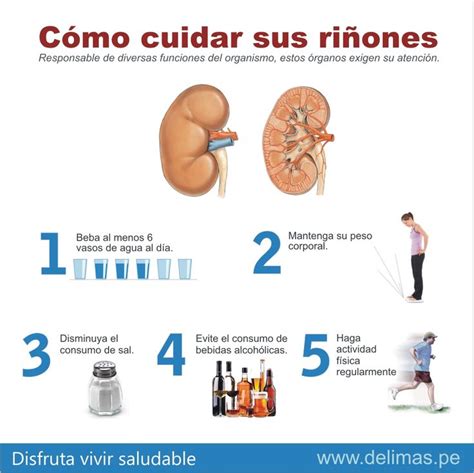 Mejores 31 imágenes de Salud vías urinarias en Pinterest Vias