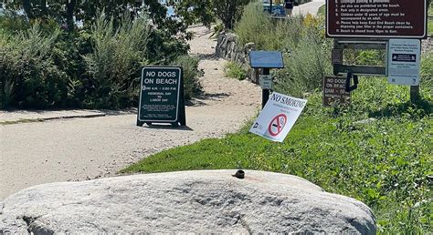 east  beach           reviews