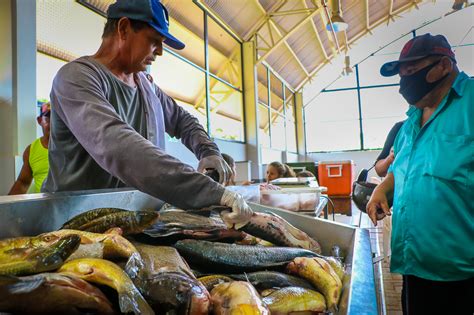 Feira Do Peixe Comercializa Mais De Toneladas Em Tr S Lagoas