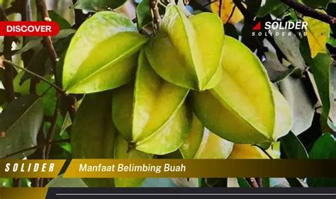 Temukan Manfaat Belimbing Buah Yang Jarang Diketahui