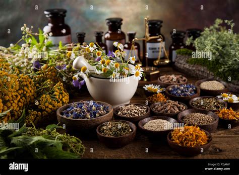 Fresh Medicinal Healing Herbs On Wooden Stock Photo Alamy