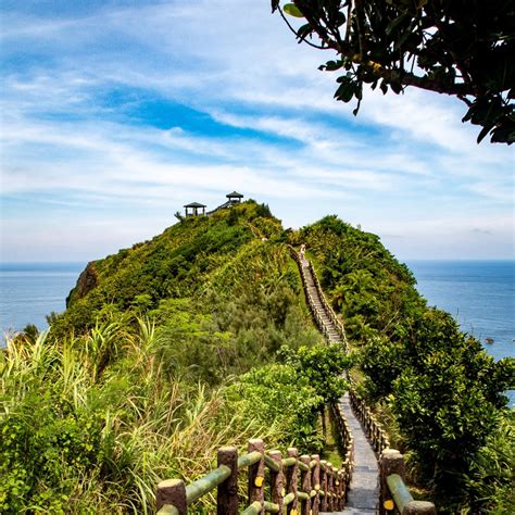 Why carbon markets are heating up again