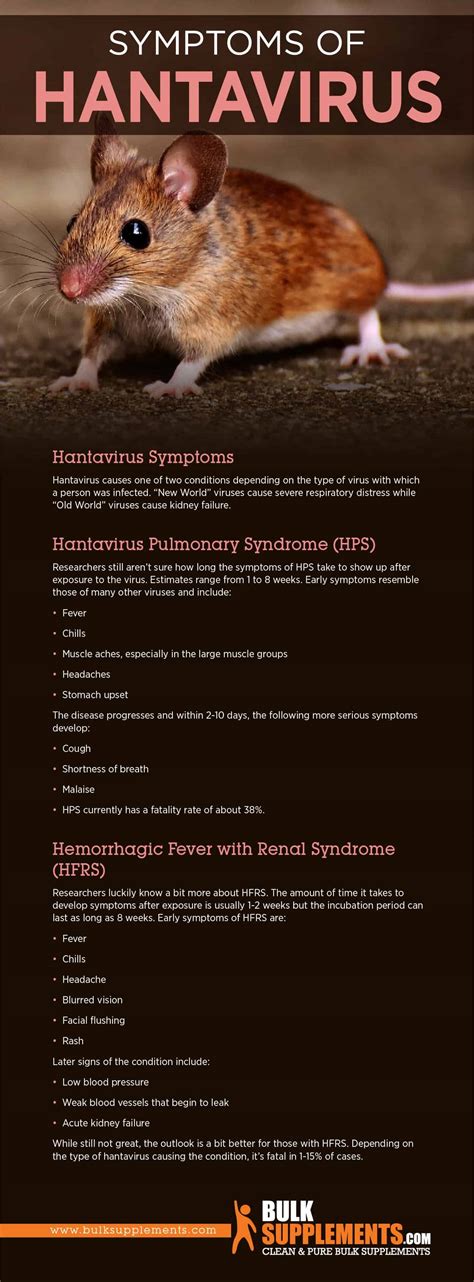 Hantavirus: Symptoms, Causes & Treatment