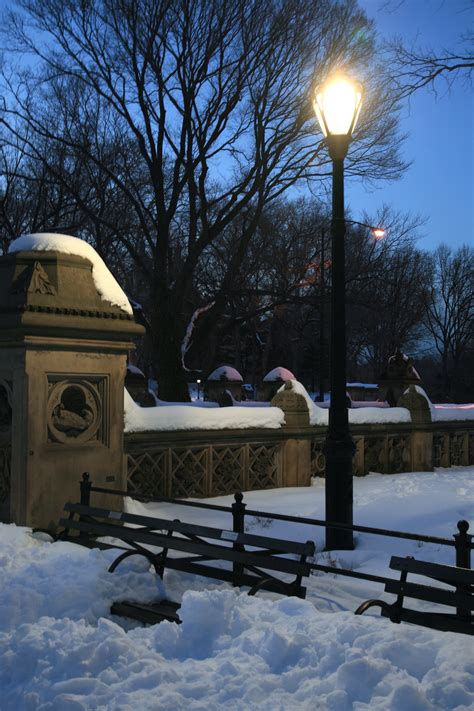 Fotos gratis árbol nieve invierno Manhattan Nueva York clima