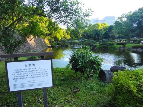 口コミの詳細：日比谷公園 心字池日比谷公園湖沼 池 By Line Place