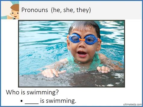 Pronouns Flash Cards Ultimate Slp