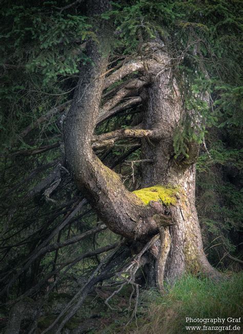 A Memorable Hike with a Hidden Gem – The Beauty of Nature