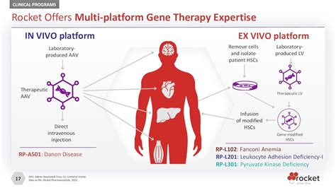 Rocket Pharmaceuticals: Intriguing Potential (NASDAQ:RCKT) | Seeking Alpha