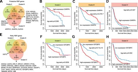 Frontiers Systematically Dissecting The Function Of RNA Binding