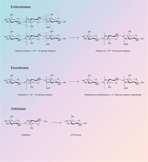 Cellulase Worthington Enzyme Manual Worthington Biochemical