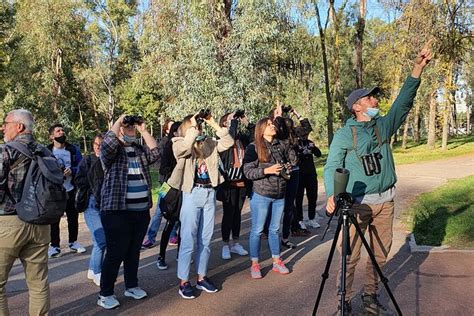 2024 Tour privado de observación de aves en Albania