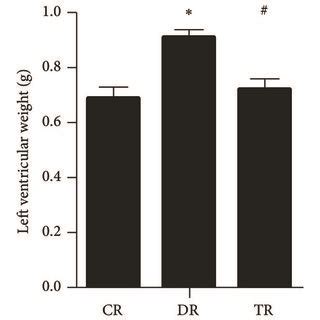 Fasting Blood Glucose Body Weight And Cardiac Dysfunction In