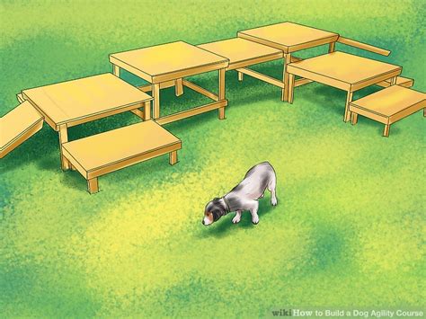 How To Design A Dog Agility Course 12 Steps With Pictures