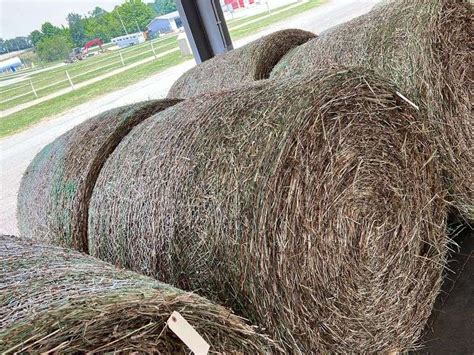 2 Round Bales 1st Alfalfa Orchard Grass 4x5 Rogers Community